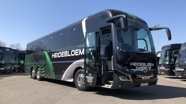 Heideboem MAN Lions coach 2020