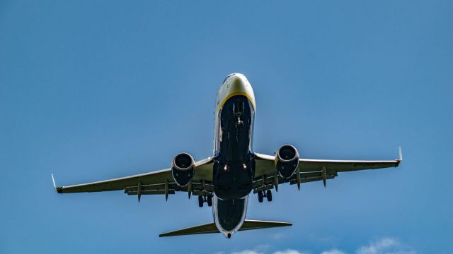 Tim dennert c Qdei Spl14 I unsplash