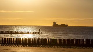 Tomas hertogh q F Ccp L2 Qf Q4 unsplash