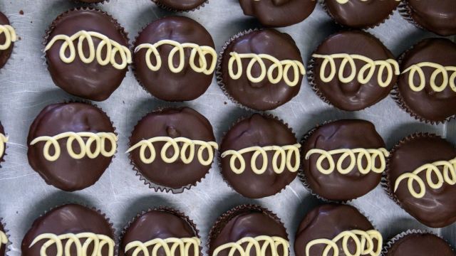 Pexels tom fisk 8525757