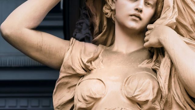 Pexels simon berger 2193186